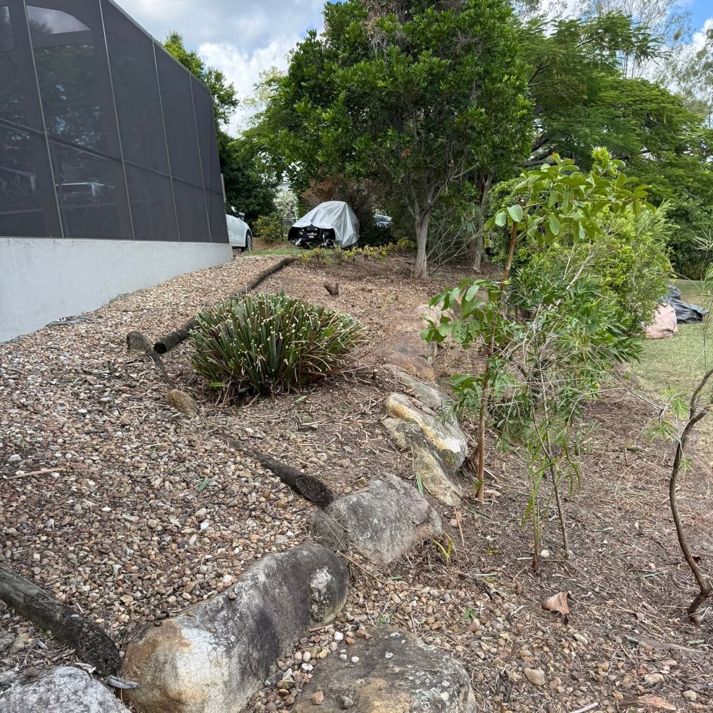 A garden bed along a rock wall, cleared, mulched with gravel and replanted