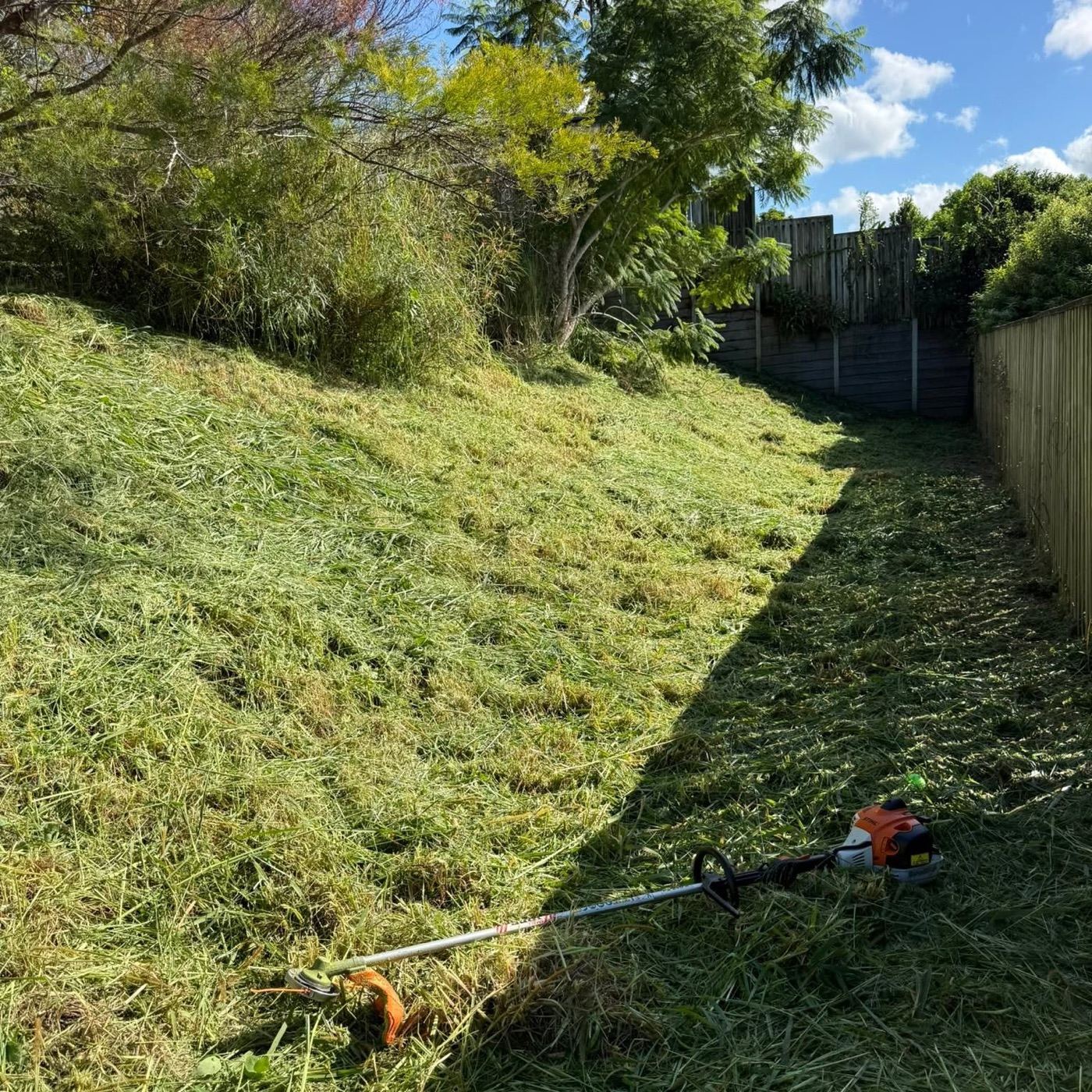 A steep grass bank along a timber fence, freshly brushcut, with the brushcutter lying on the cut grass