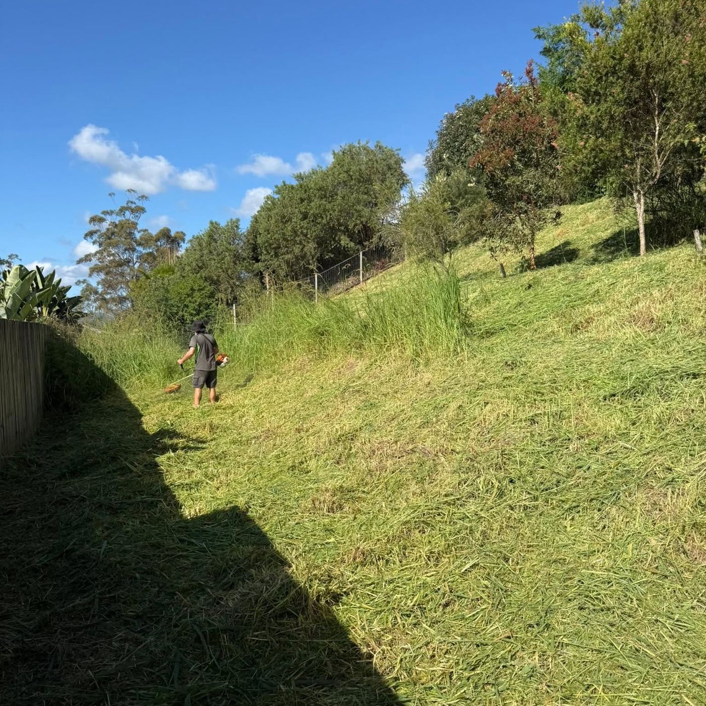 Brushcutting long grass up a steep block