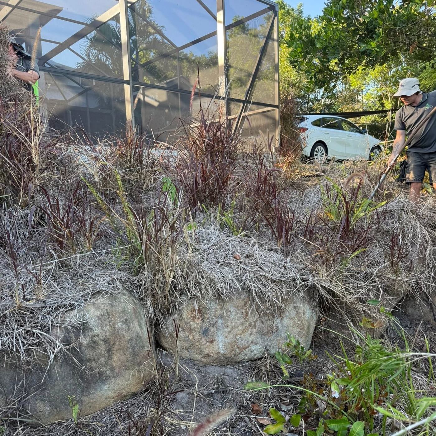 A worker clearing dead grass and weeds from a garden bed along a rock wall
